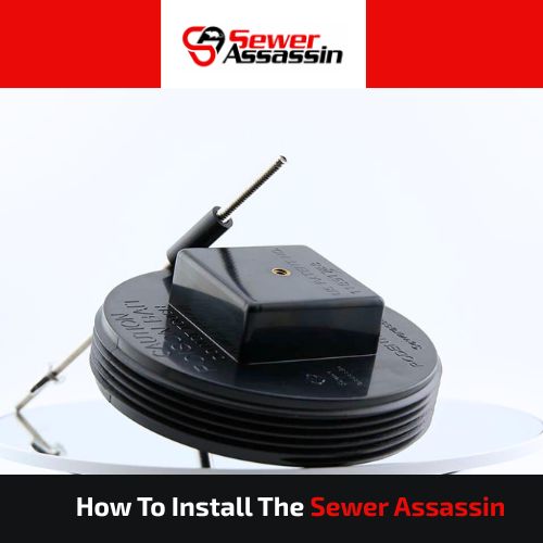 rodent Bait Station