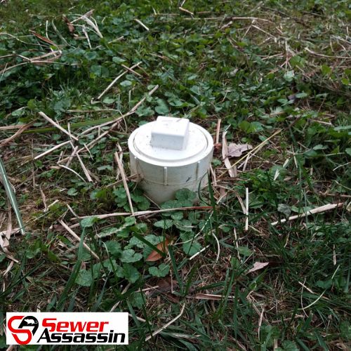 rodent bait station for sewer clean out
