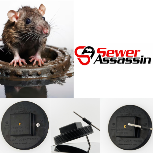 rodent bait station pest control suppler near Raleigh