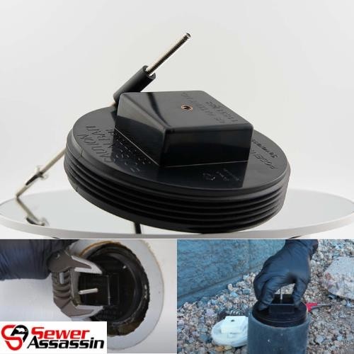 rat problem in Miami