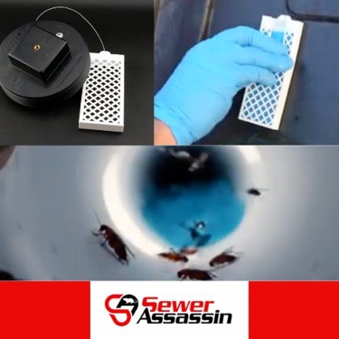 Pest Strip Holders for Ongoing Protection