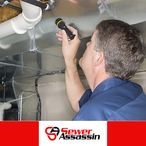 best smoke machine for pest control (2)
