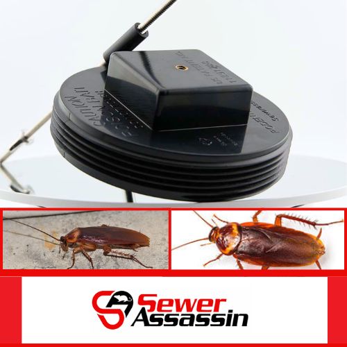 bait station for roaches and american roaches (1)