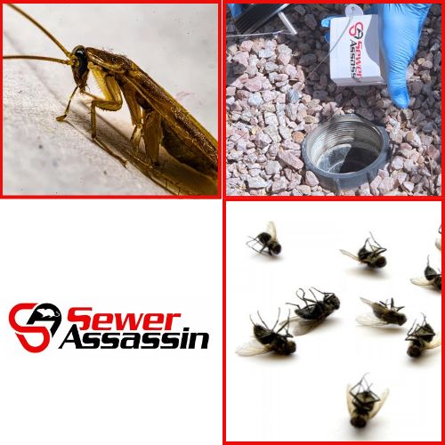 glue board for roaches and rats
